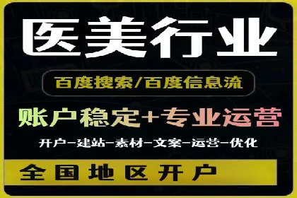 SEM推广实战：成功案例剖析